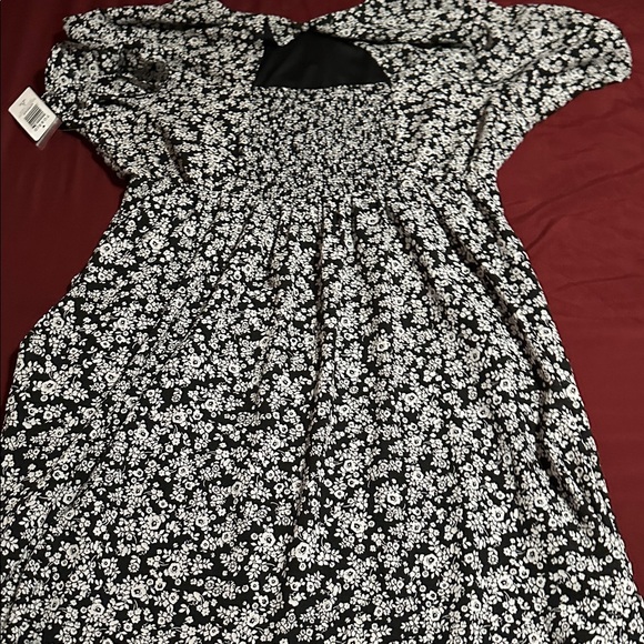 Torrid - Picture 4 of 4